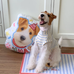 VIPpaw Custom Pet Portrait Plush Doll - Handmade Personalized Huggable Pet Mini, Unique Gift Idea