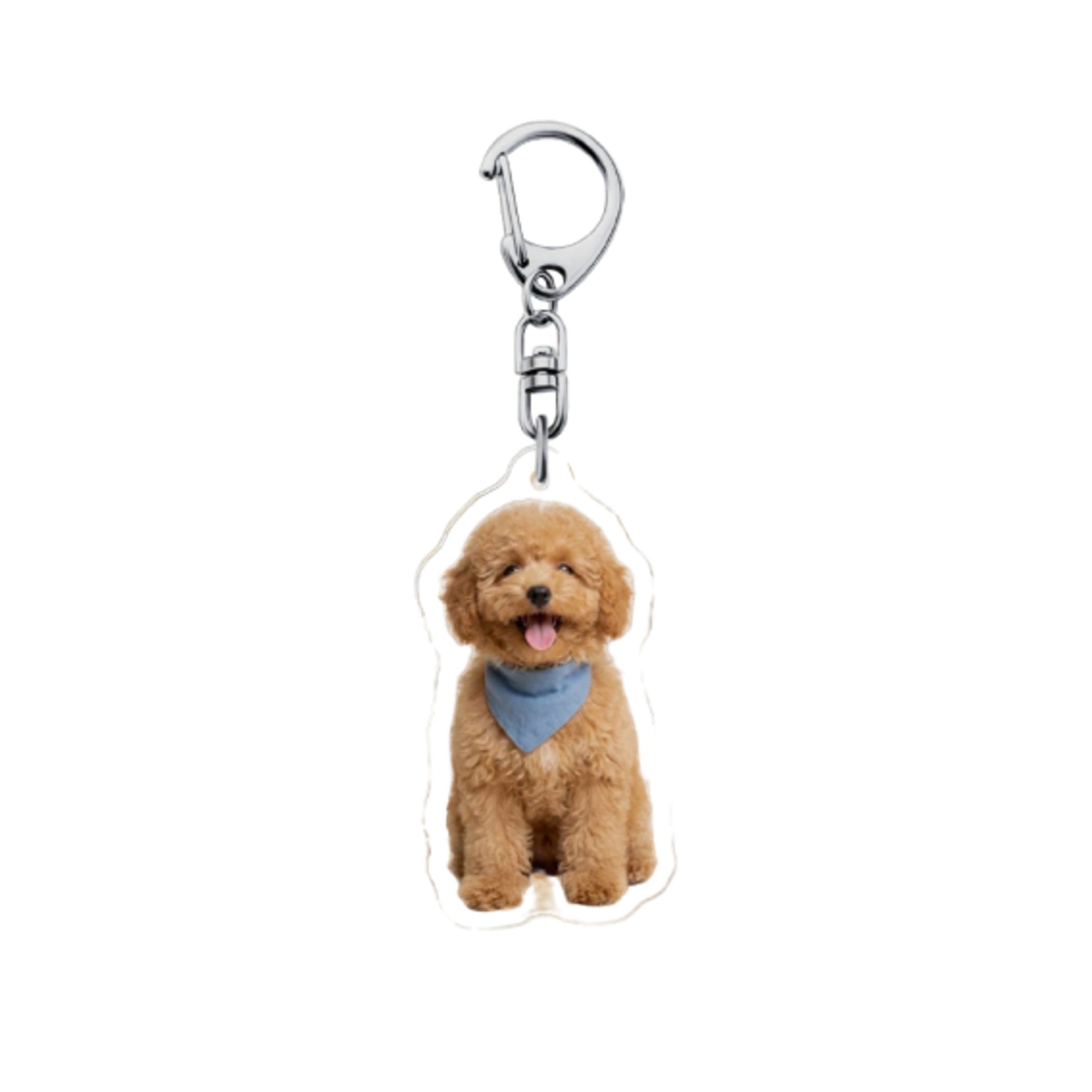 Custom Pet Keychains & Charms on white background, 2000x2000