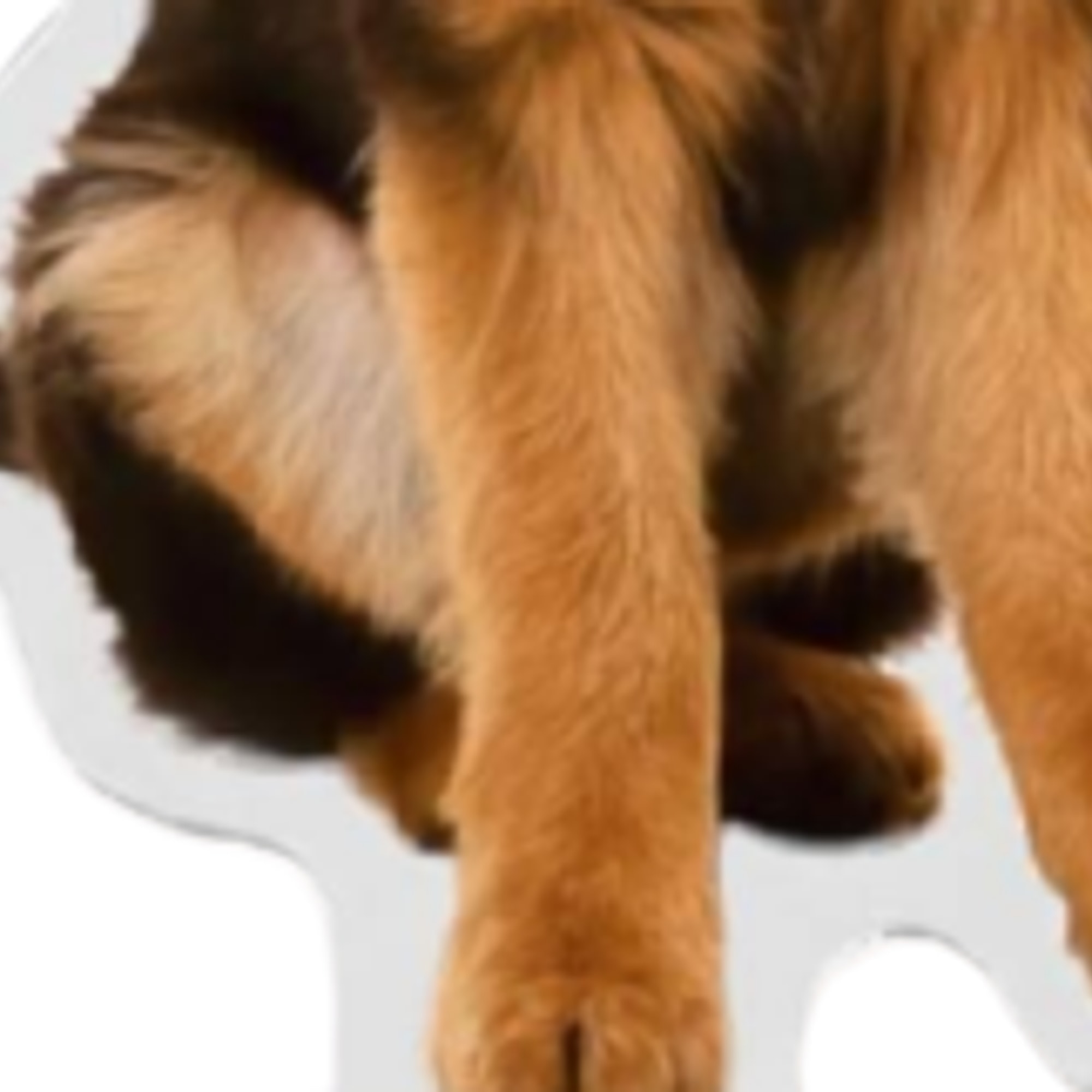 Custom Pet Acrylic Standee Detail Close-up – Holographic Base (cropped from main image)