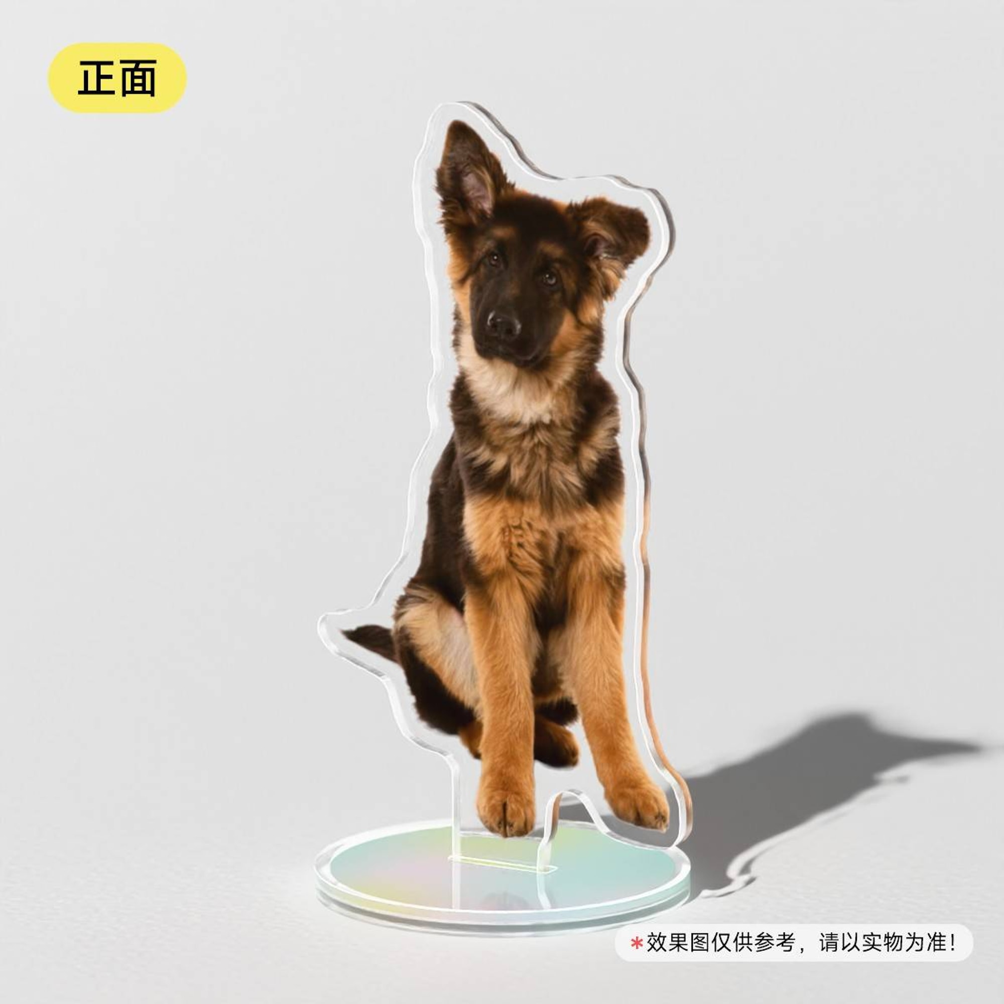Custom Pet Acrylic Standee Side View