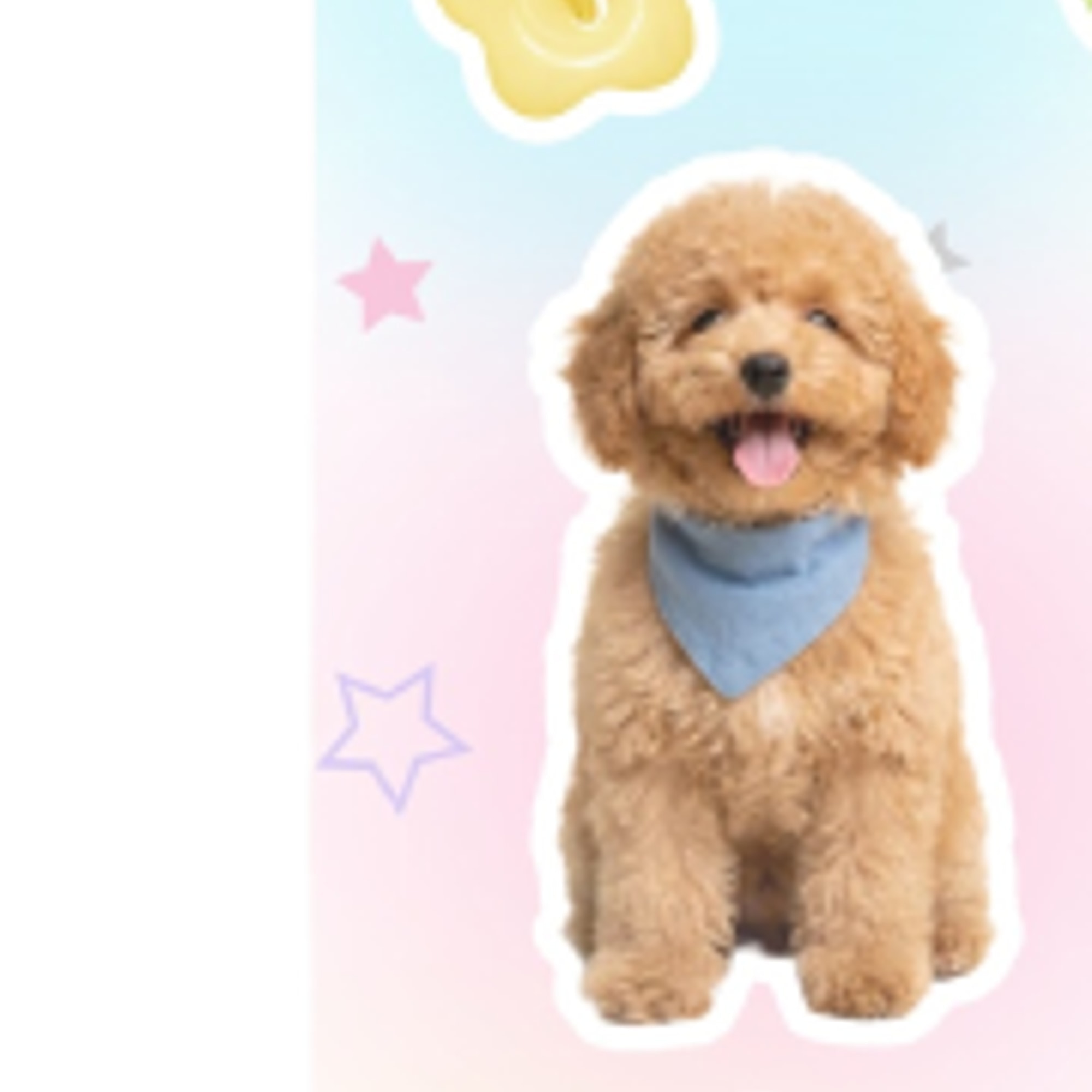 Custom Pet Portrait Stickers Detail Close-up – Poodle Sticker (cropped from main image)