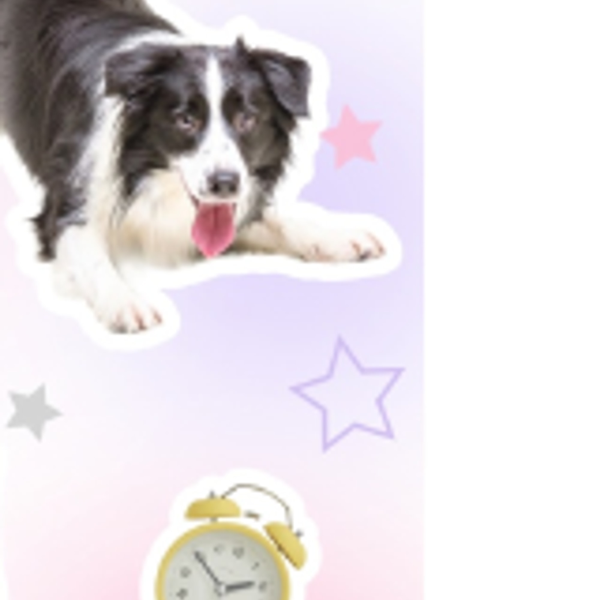 Custom Pet Portrait Stickers Detail Close-up – White Puppy Sticker (cropped from main image)