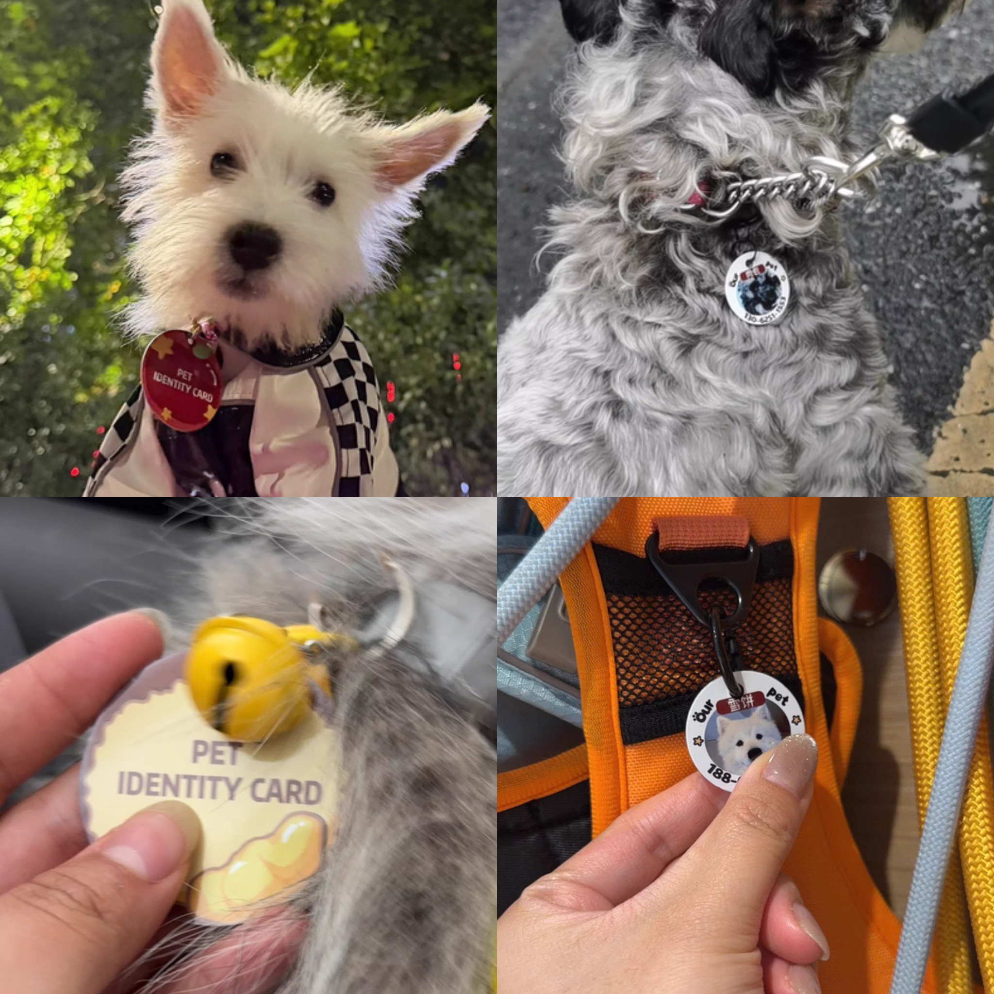 VIPpaw Personalized Pet ID Tag - Custom Engraved Portrait Collar Tag, Style Meets Safety - Image 2